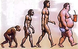Evolution